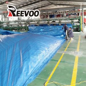 PE Tarp Poly Tarp Tarpaulin Sheet